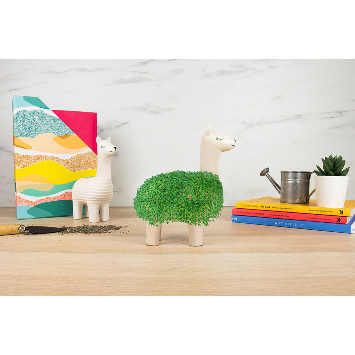 Lama Blumentopf mit Chia Samen