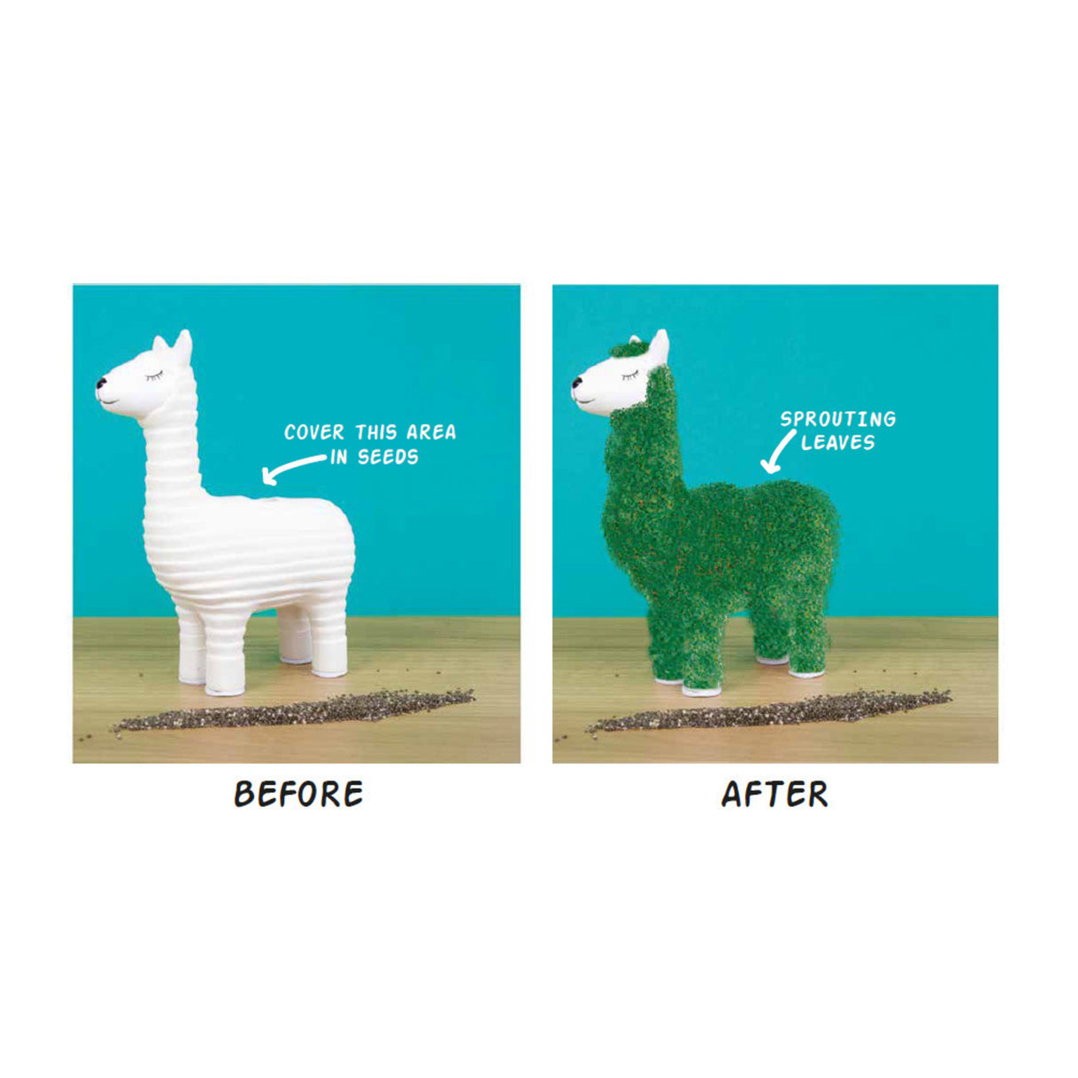 Lama Blumentopf mit Chia Samen
