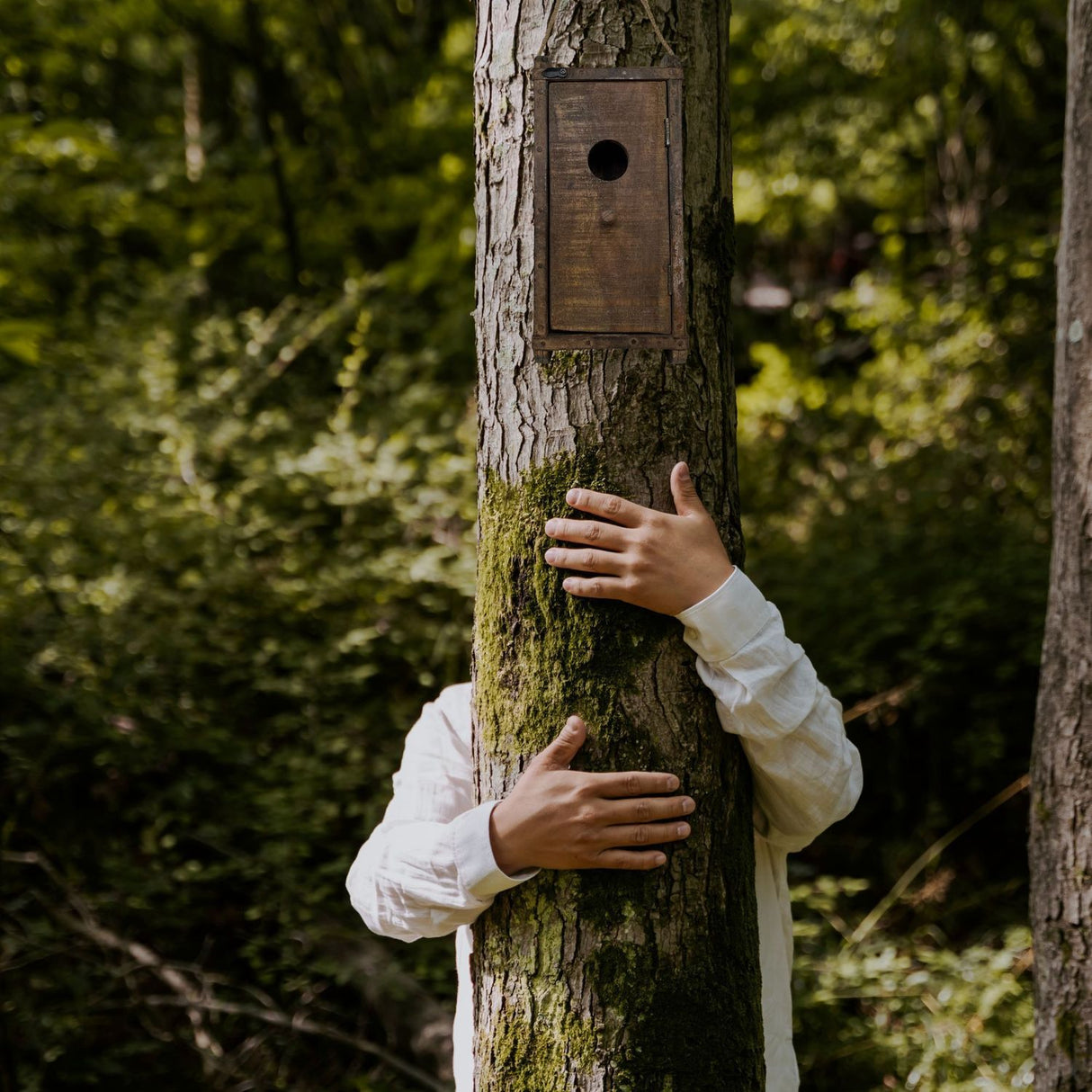 Reused Vintage Vogelhaus aus recyceltem Holz in zufälliger Variante