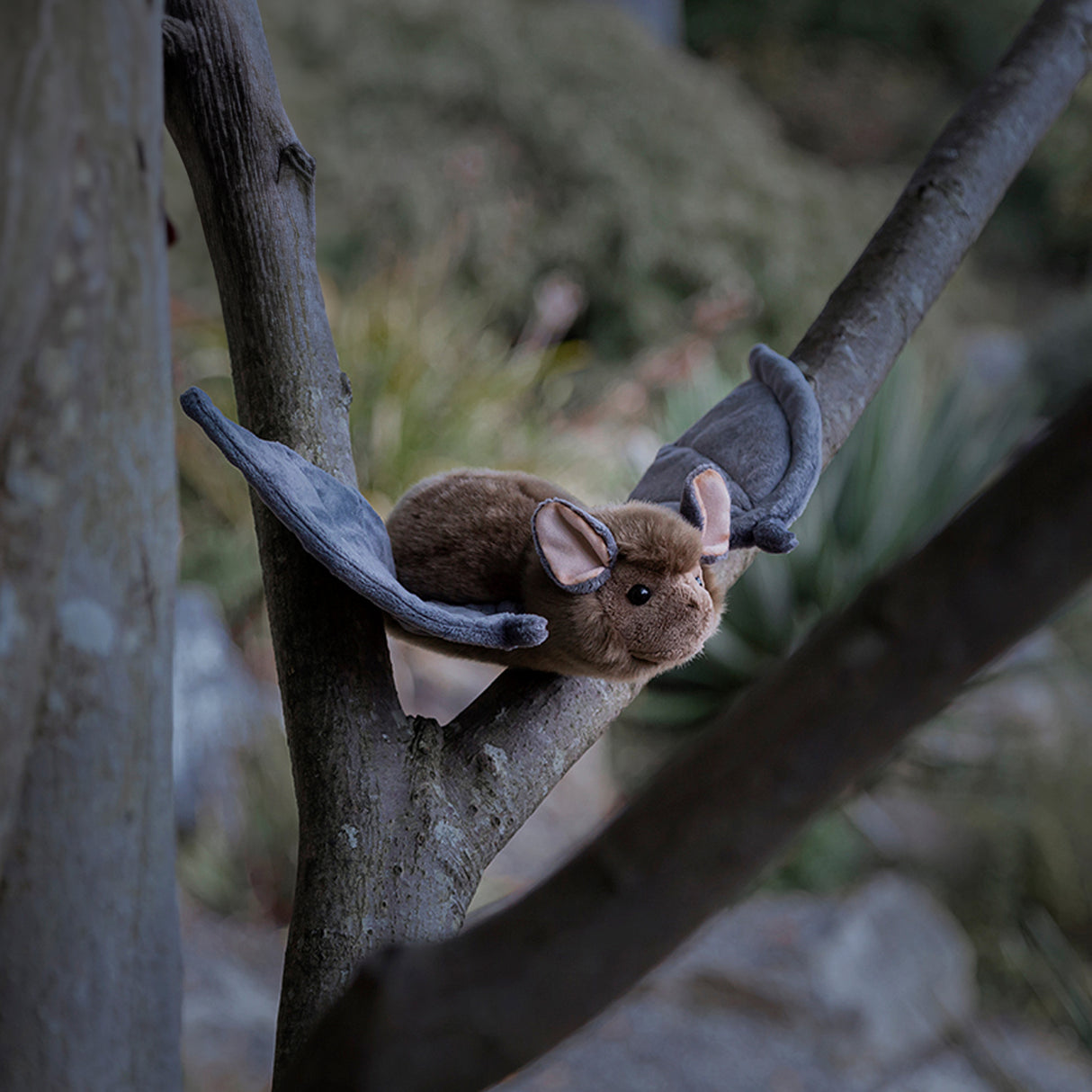 Fledermaus Animigos Kuscheltier