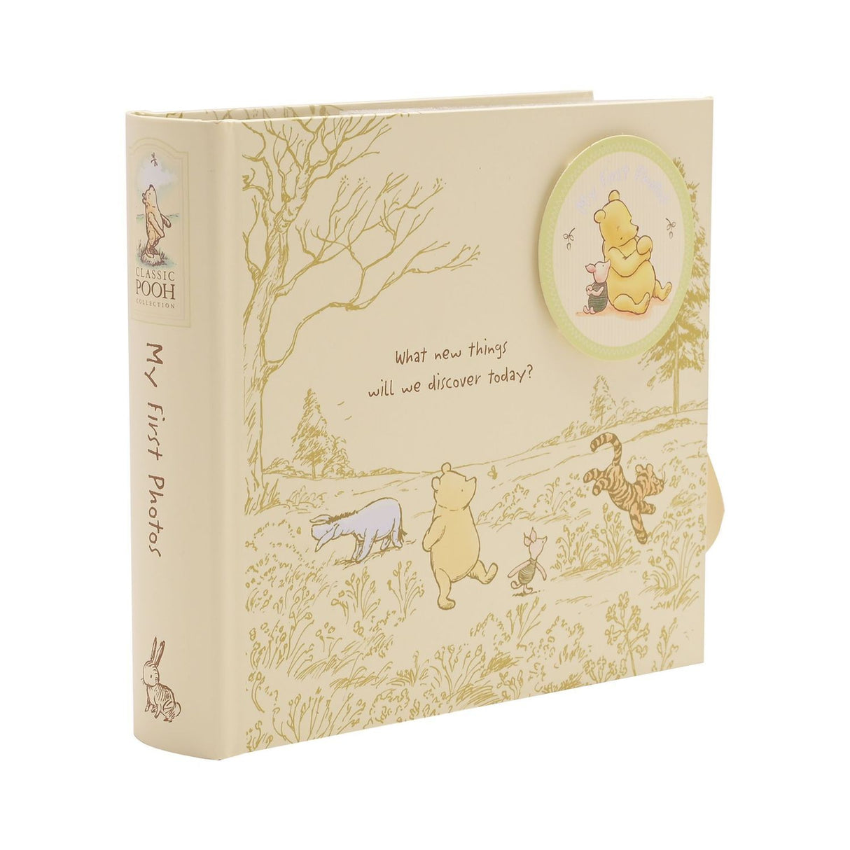 Winnie Puuh Baby Fotoalbum
