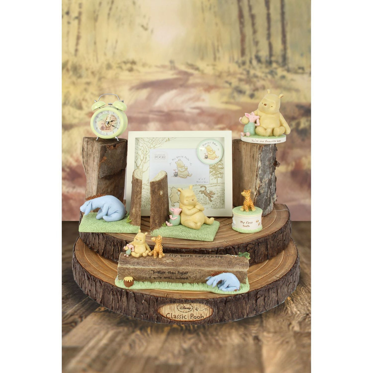Winnie Puuh Baby Fotoalbum
