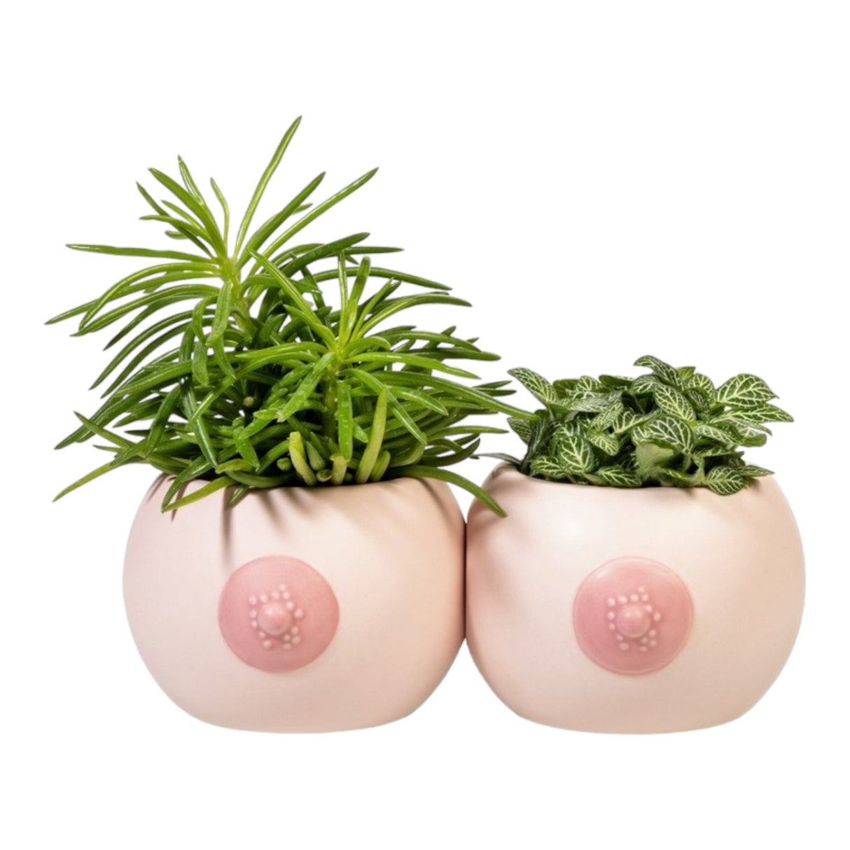 Brüste Blumentopf kleine Titten Pflanzkübel aus Keramik im 2er-Set