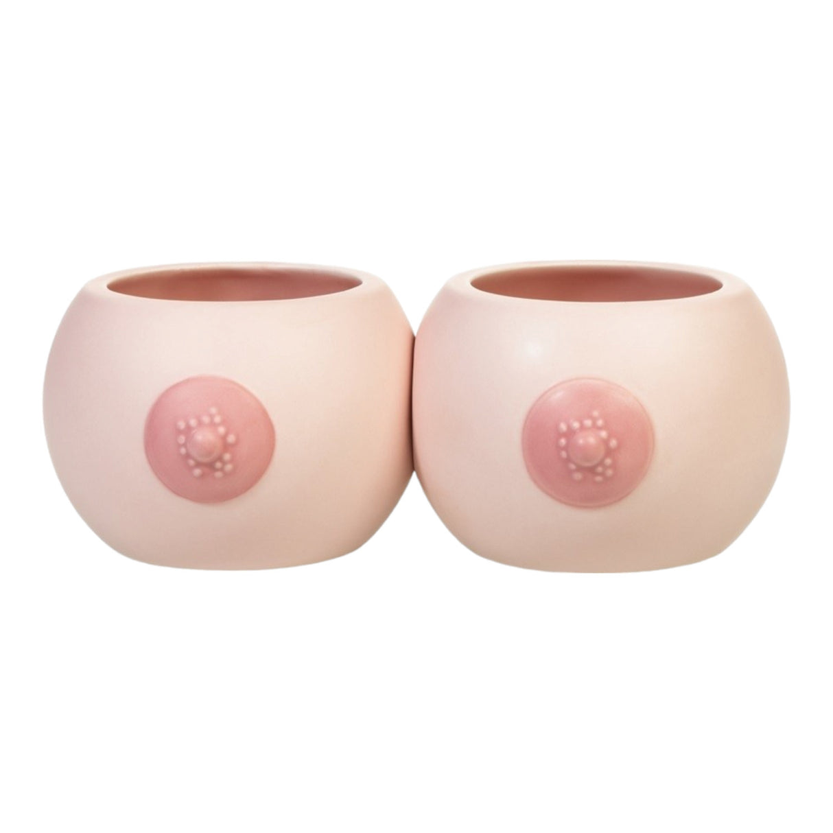 Brüste Blumentopf kleine Titten Pflanzkübel aus Keramik im 2er-Set