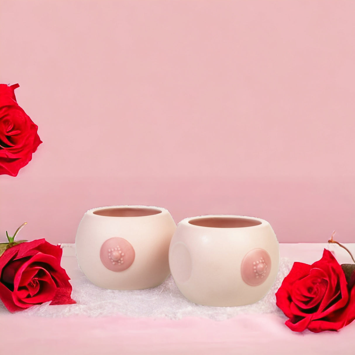 Brüste Blumentopf kleine Titten Pflanzkübel aus Keramik im 2er-Set