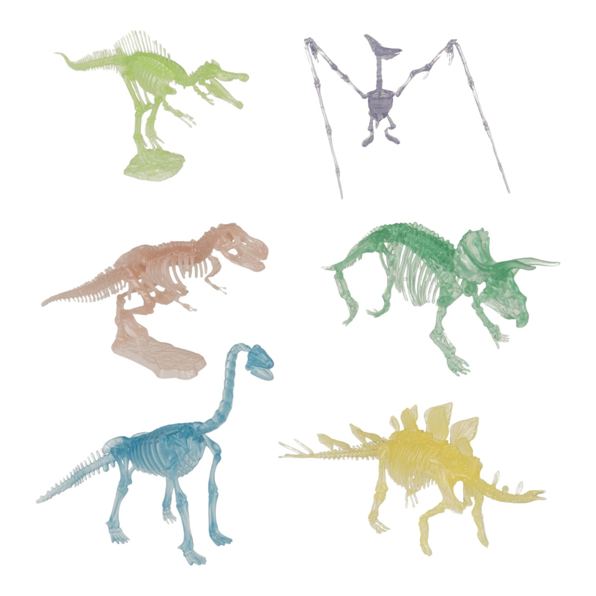 DIY Dinosaurier Skelett Bausatz Glow in the Dark Dino in zufälliger Variante