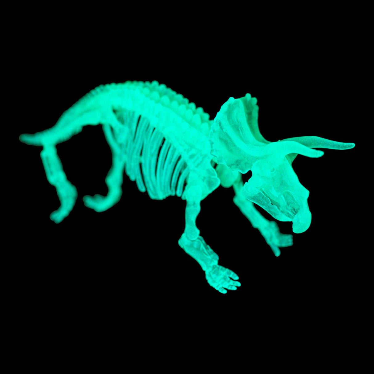 DIY Dinosaurier Skelett Bausatz Glow in the Dark Dino in zufälliger Variante
