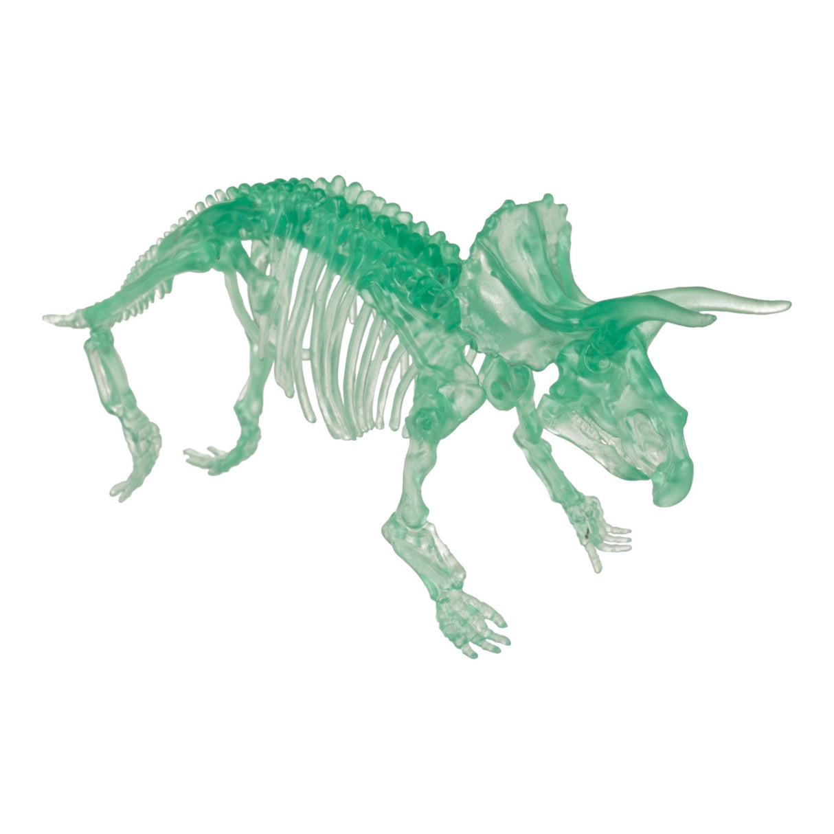 DIY Dinosaurier Skelett Bausatz Glow in the Dark Dino in zufälliger Variante