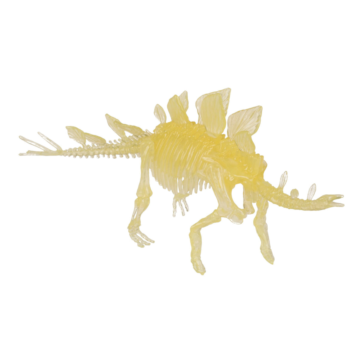 DIY Dinosaurier Skelett Bausatz Glow in the Dark Dino in zufälliger Variante