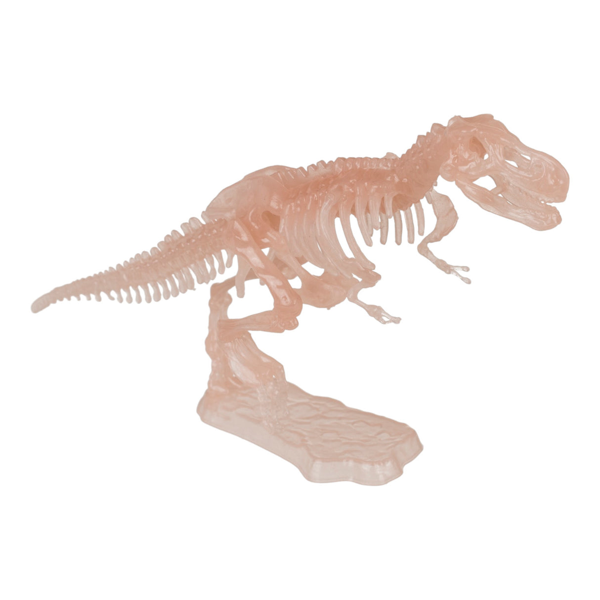 DIY Dinosaurier Skelett Bausatz Glow in the Dark Dino in zufälliger Variante