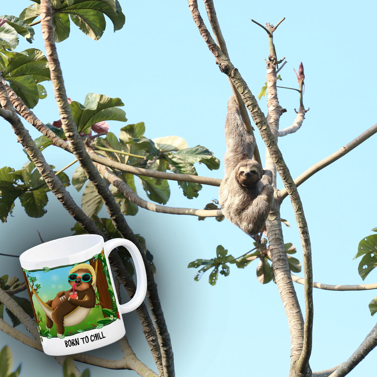 Kaffeebecher mit Faultier in Hängematte Motiv und Spruch: Born to chill