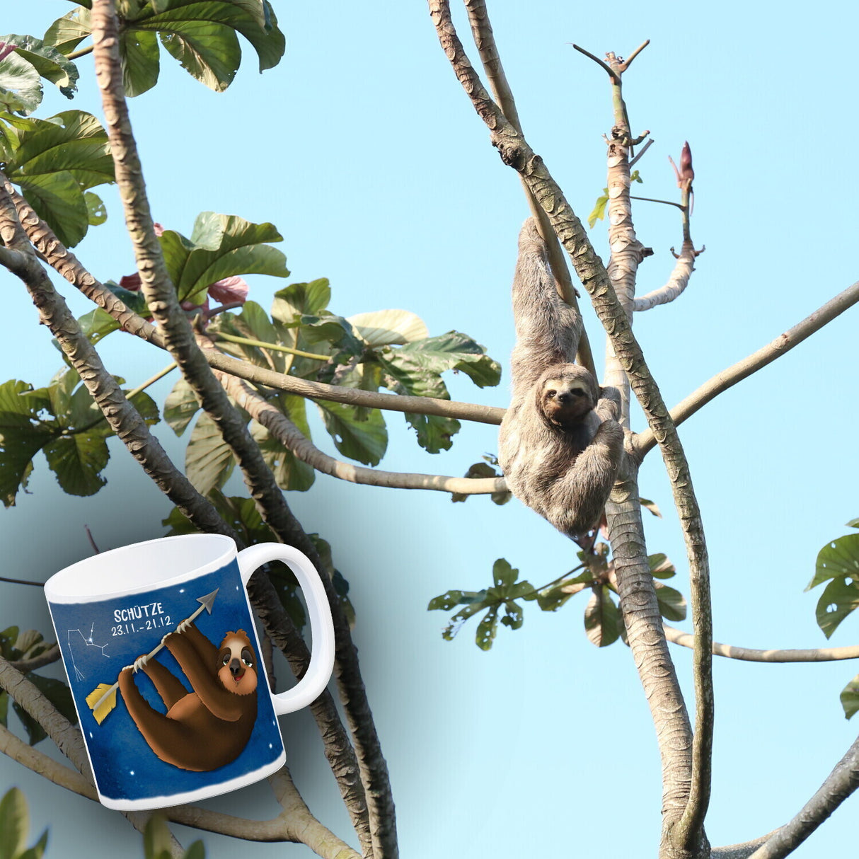 Faultier Sternzeichen Schütze Kaffeebecher