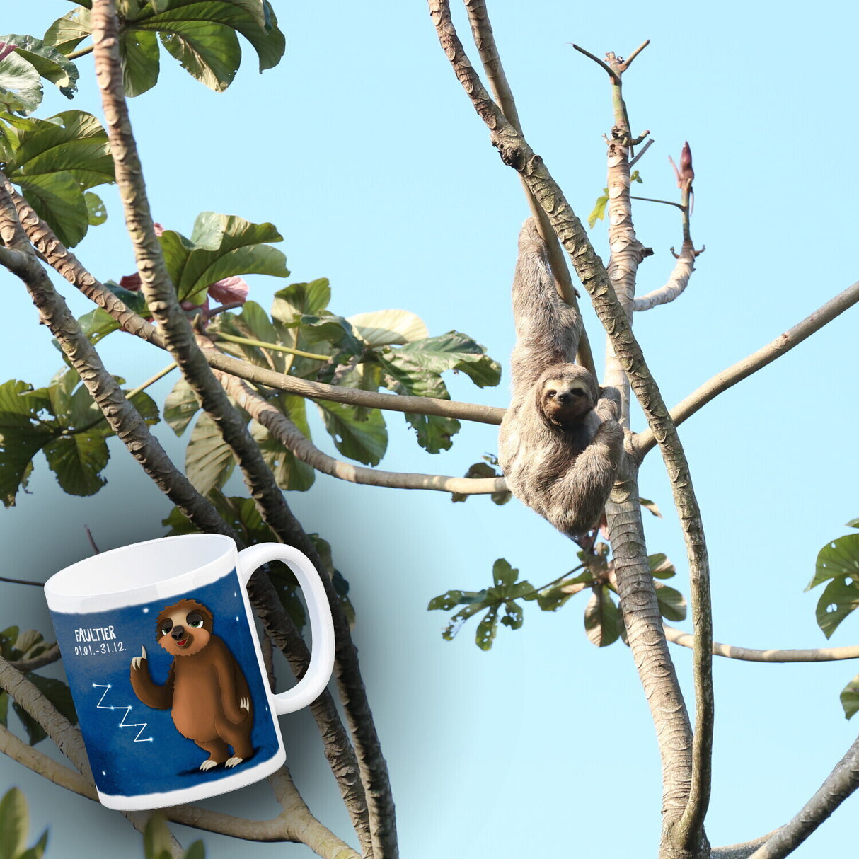 Sternzeichen Faultier Kaffeebecher