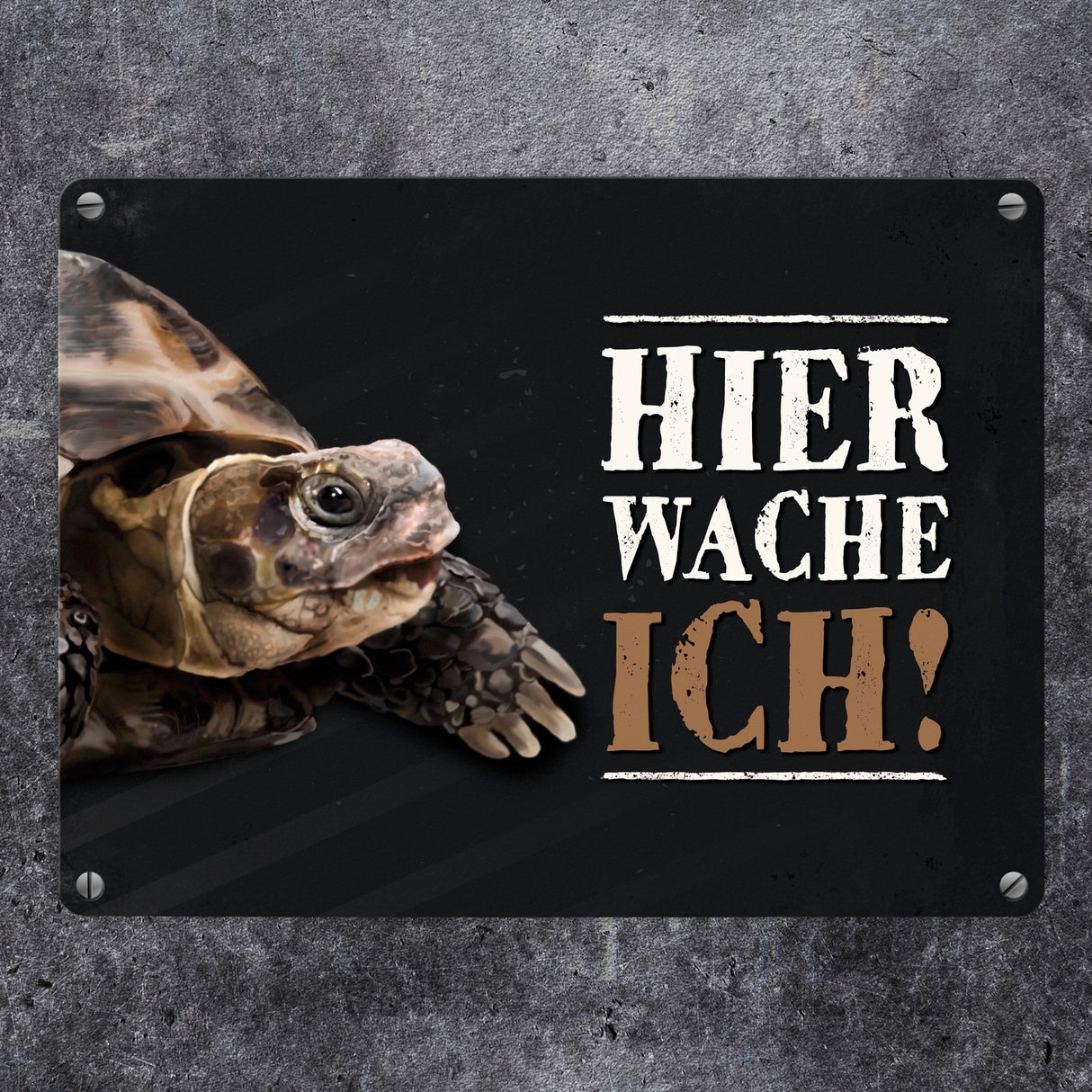 Hier wache ich! Schildkröte Metallschild
