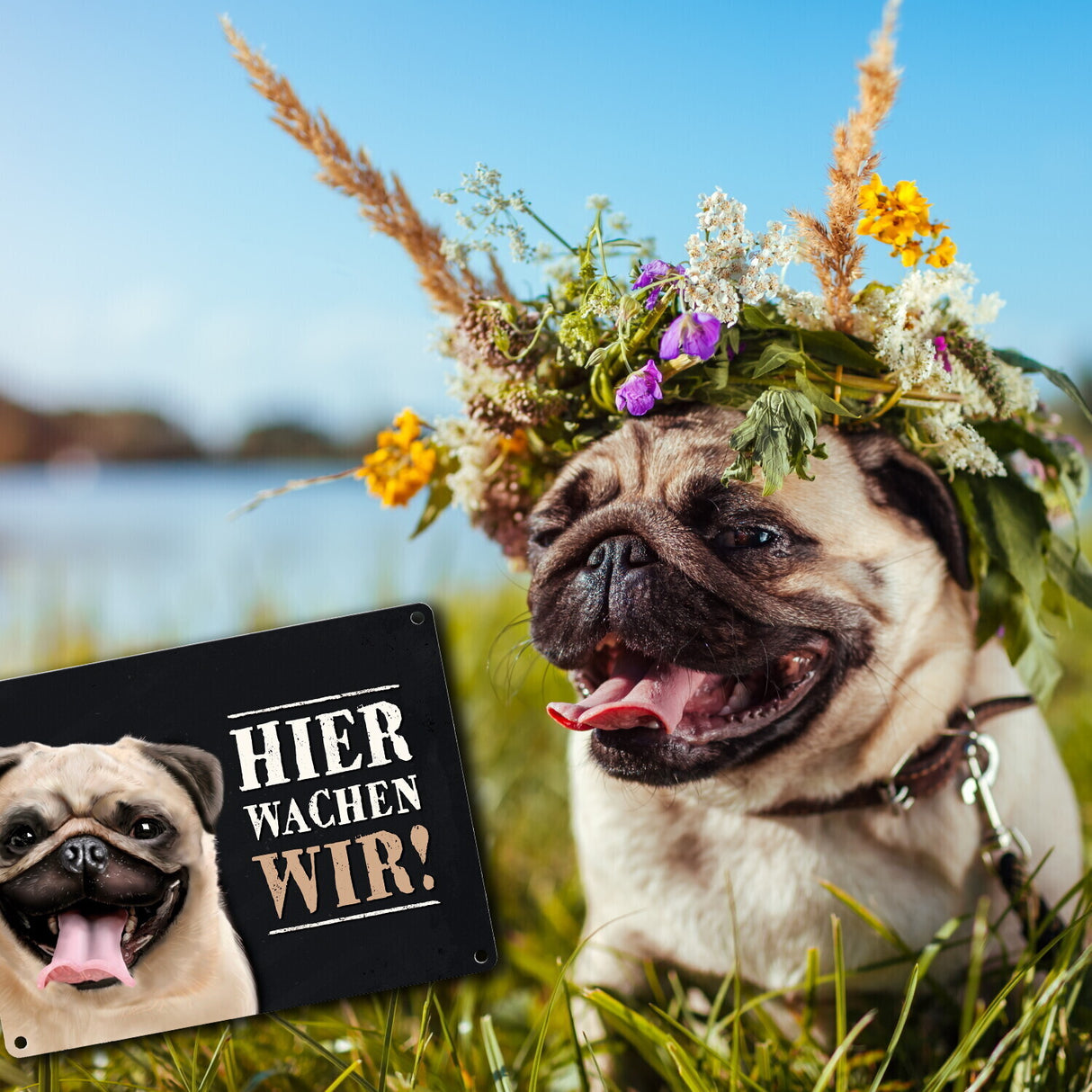 Metallschild mit Mops Motiv und Spruch: Hier wachen wir!