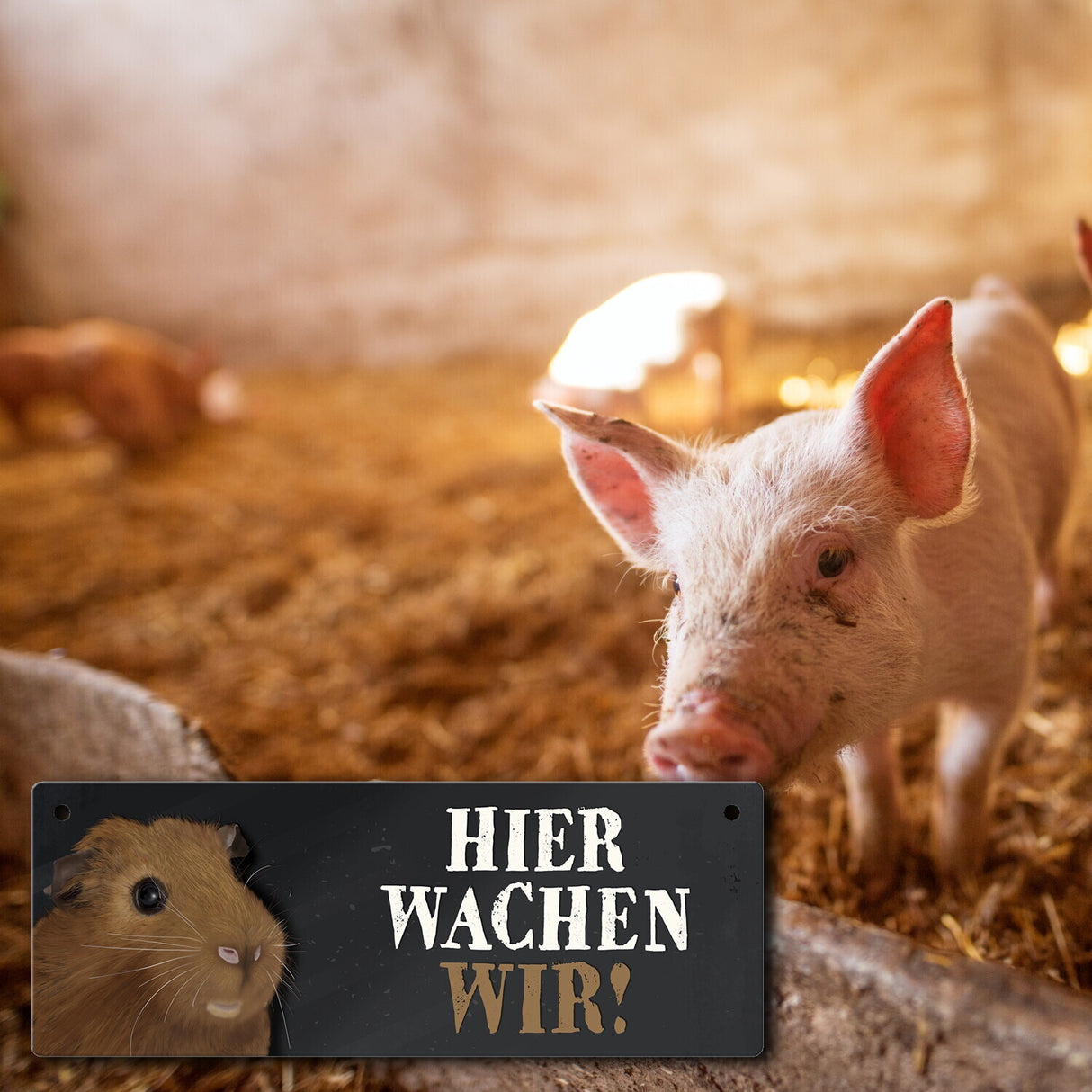 Metallschild mit Meerschweinchen Motiv und Spruch: Hier wachen wir!