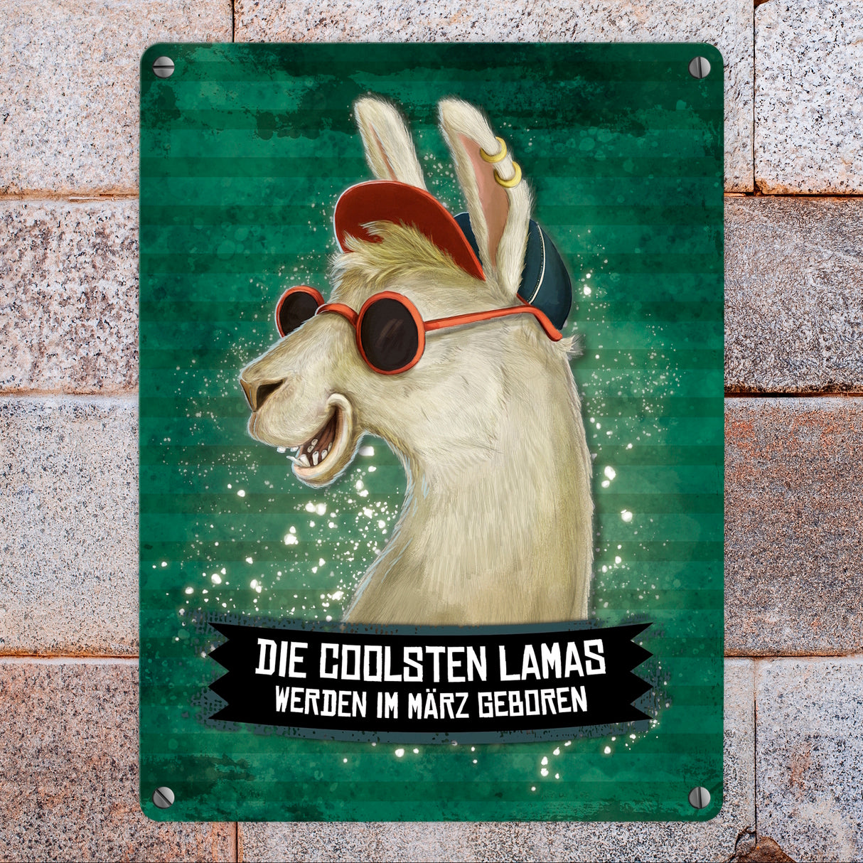 Metallschild mit Spruch: Die coolsten Lamas werden im März geboren