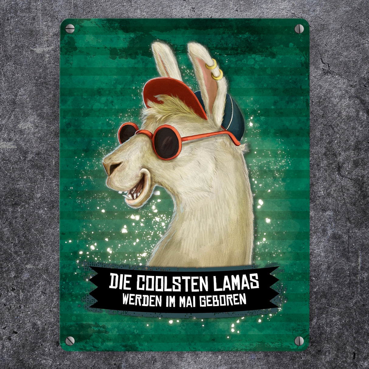 Metallschild mit Spruch: Die coolsten Lamas werden im Mai geboren