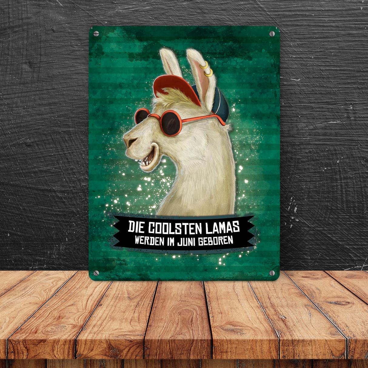 Metallschild mit Spruch: Die coolsten Lamas werden im Juni geboren