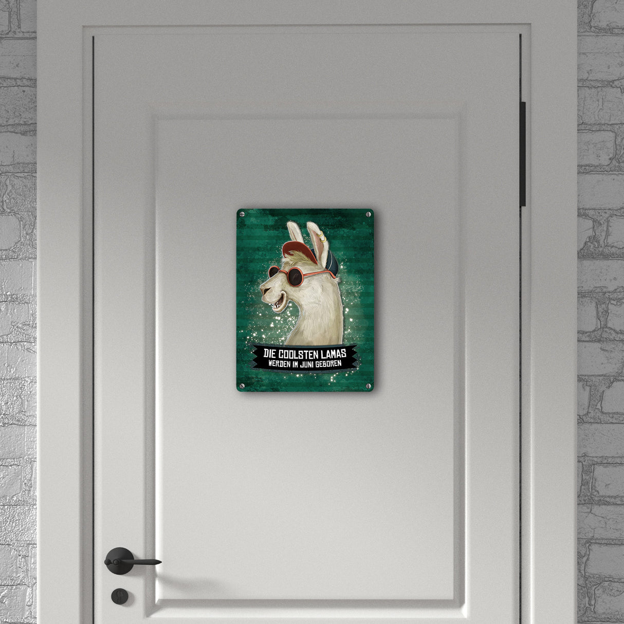 Metallschild mit Spruch: Die coolsten Lamas werden im Juni geboren