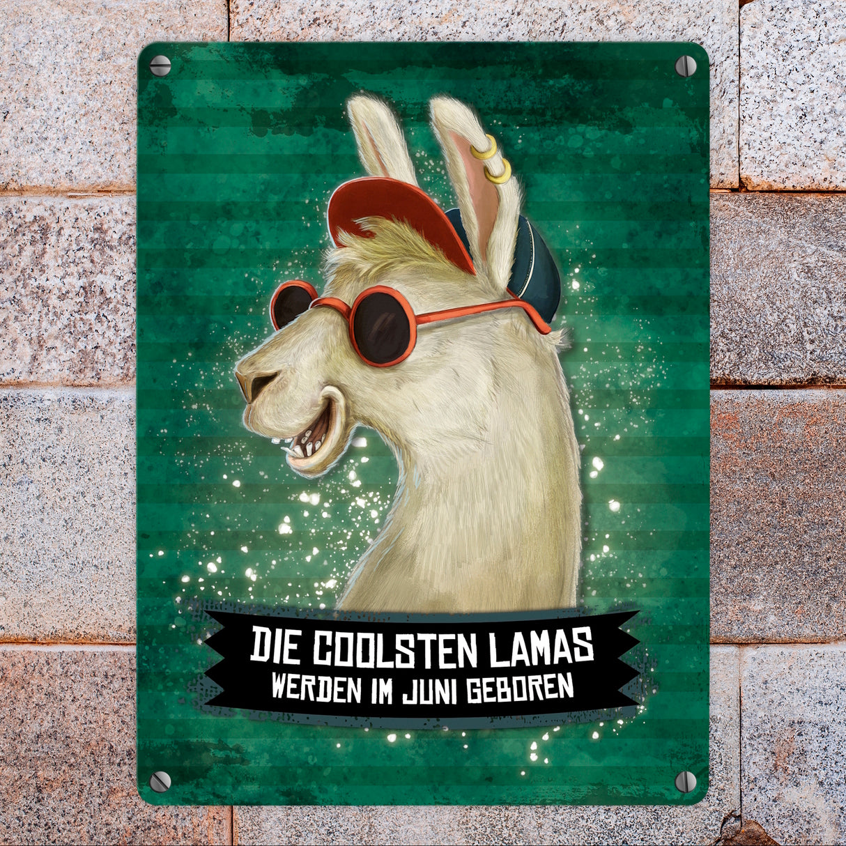 Metallschild mit Spruch: Die coolsten Lamas werden im Juni geboren