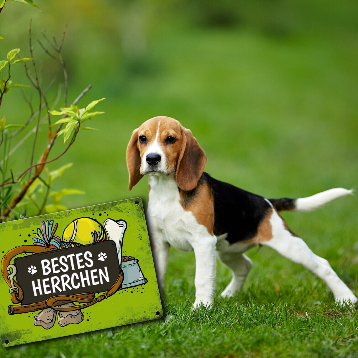 Metallschild mit Spruch: Bestes Herrchen