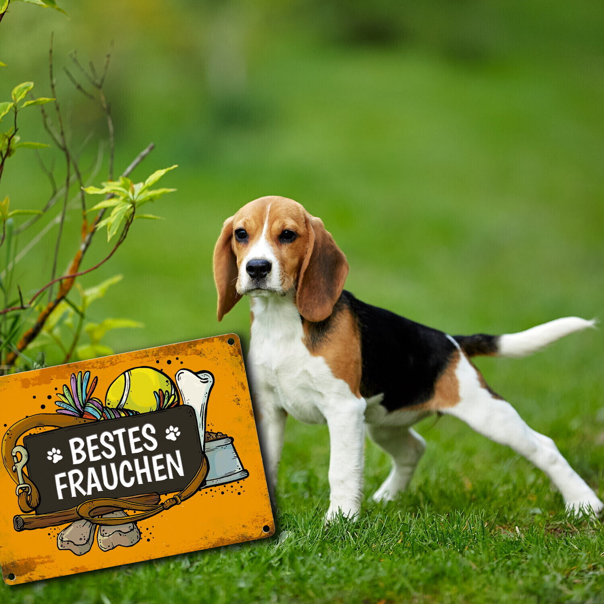 Metallschild mit Spruch: Bestes Frauchen