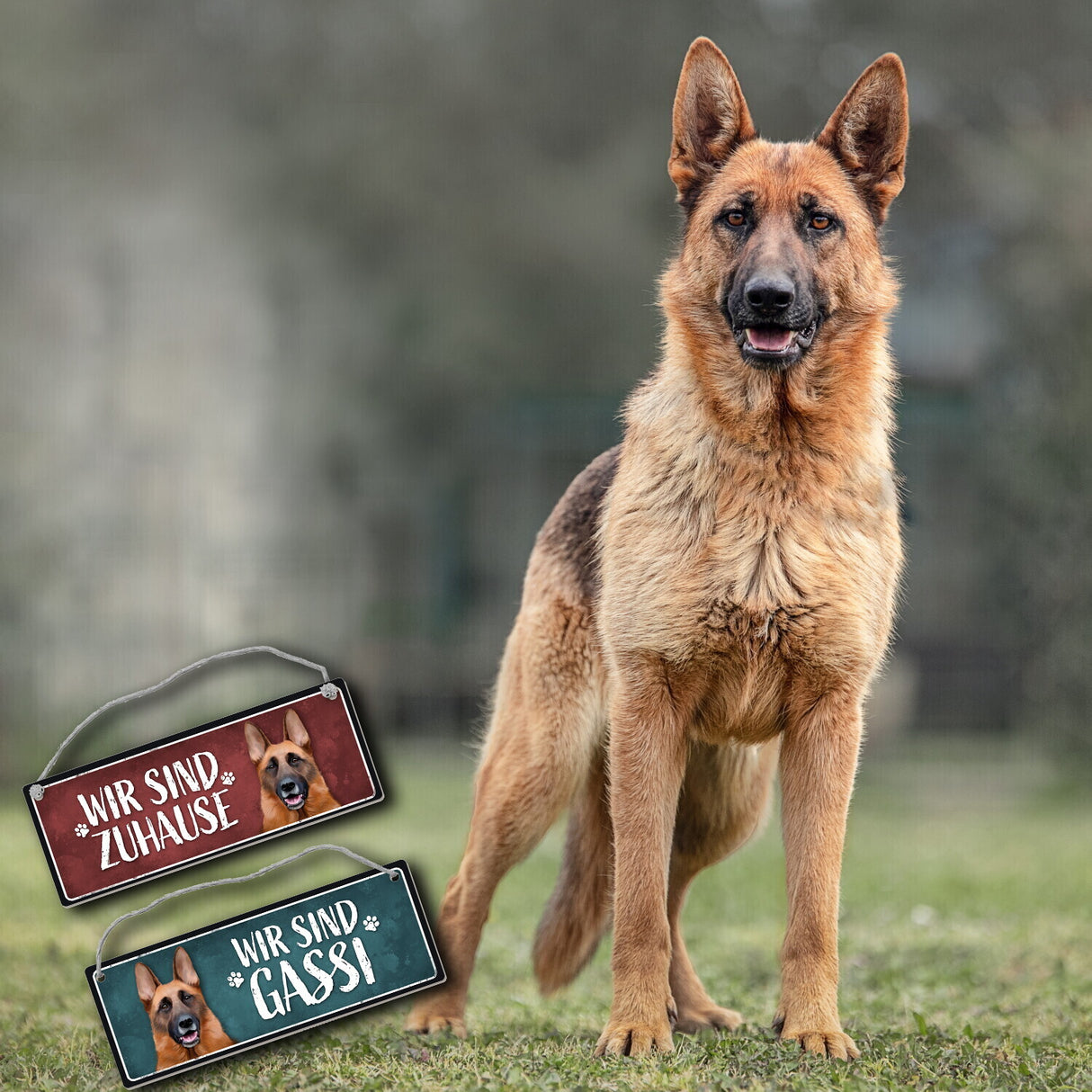 Wir sind Gassi/Zuhause - Schäferhund Wendeschild mit Kordel
