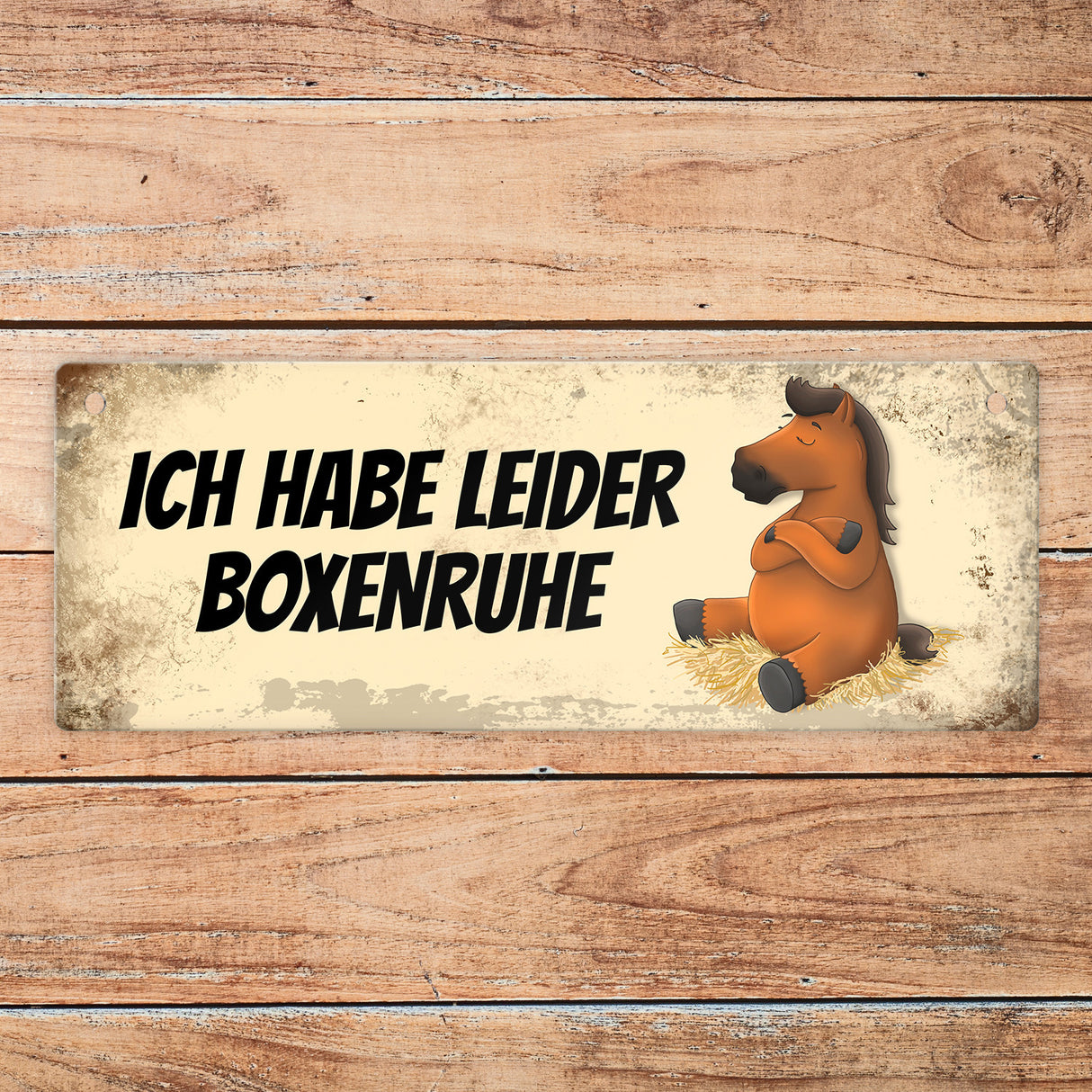 Pferd hat Boxenruhe / darf auf die Weide Wendeschild mit Kordel