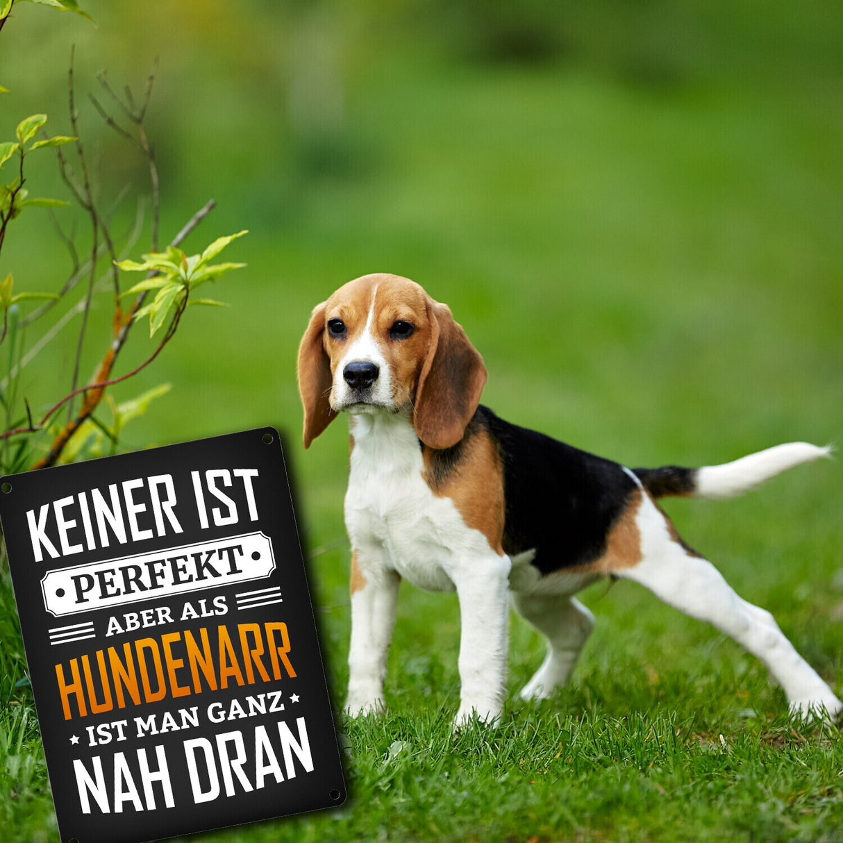 Metallschild mit Spruch: Keiner ist perfekt, aber als Hundenarr ist man ganz nah dran