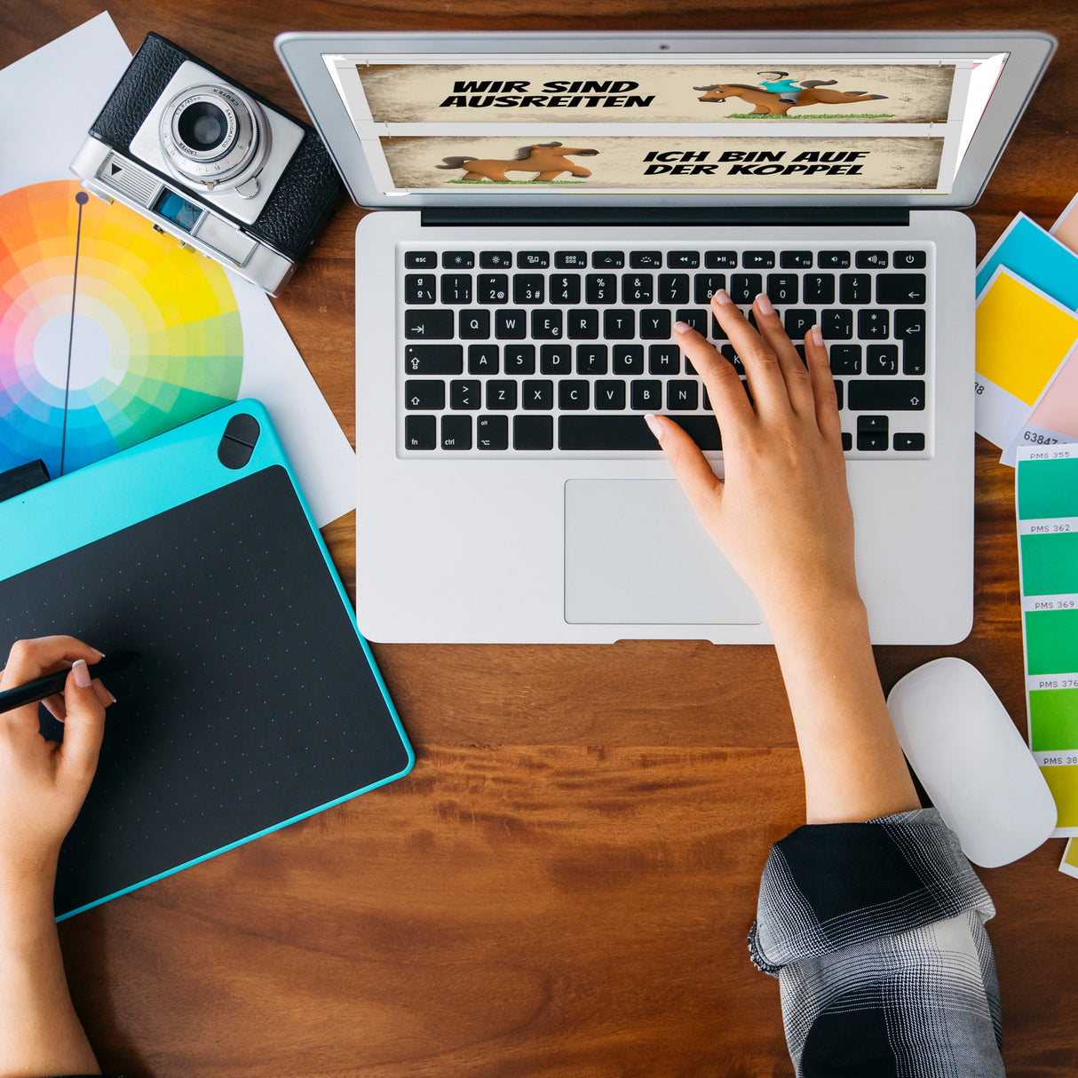 Braunes Pferd ist auf der Koppel oder ausreiten Wendeschild mit Kordel