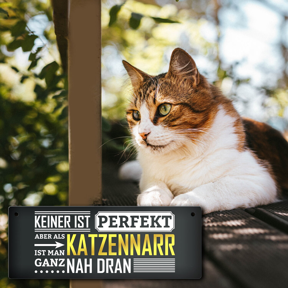 Metallschild mit Spruch: Keiner ist perfekt, aber als Katzennarr ist man ganz nah dran