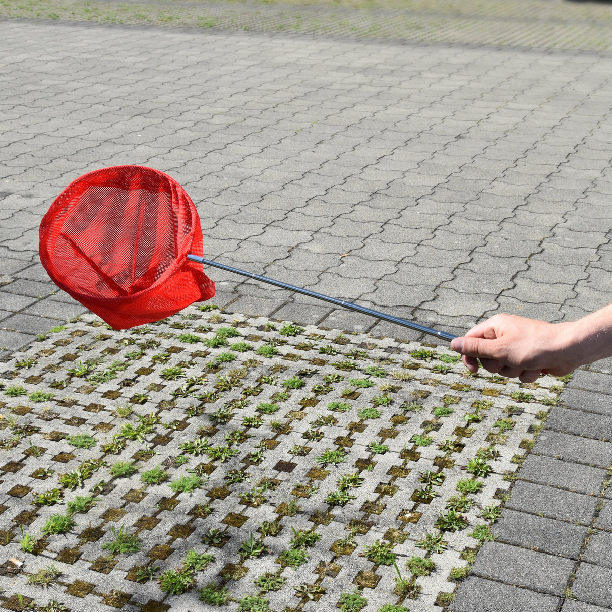 Kescher Teleskopartikel mit Teleskopstange in rot