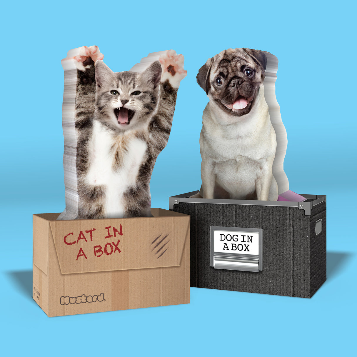 Cat in a Box Haftnotizen mit 150 Blatt