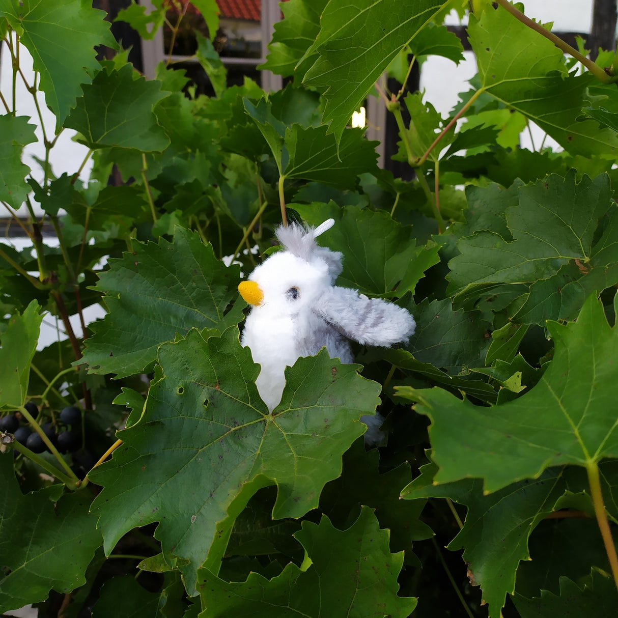 Singdrossel Kuscheltier mit Vogelzwitschern