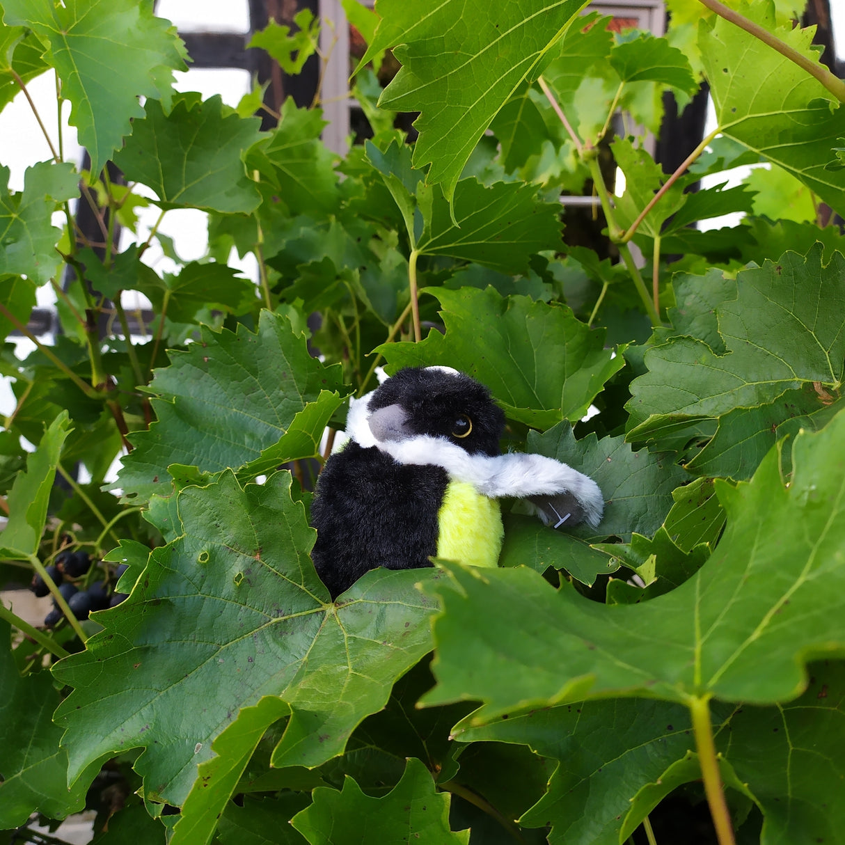 Kohlmeise Kuscheltier mit Vogelzwitschern
