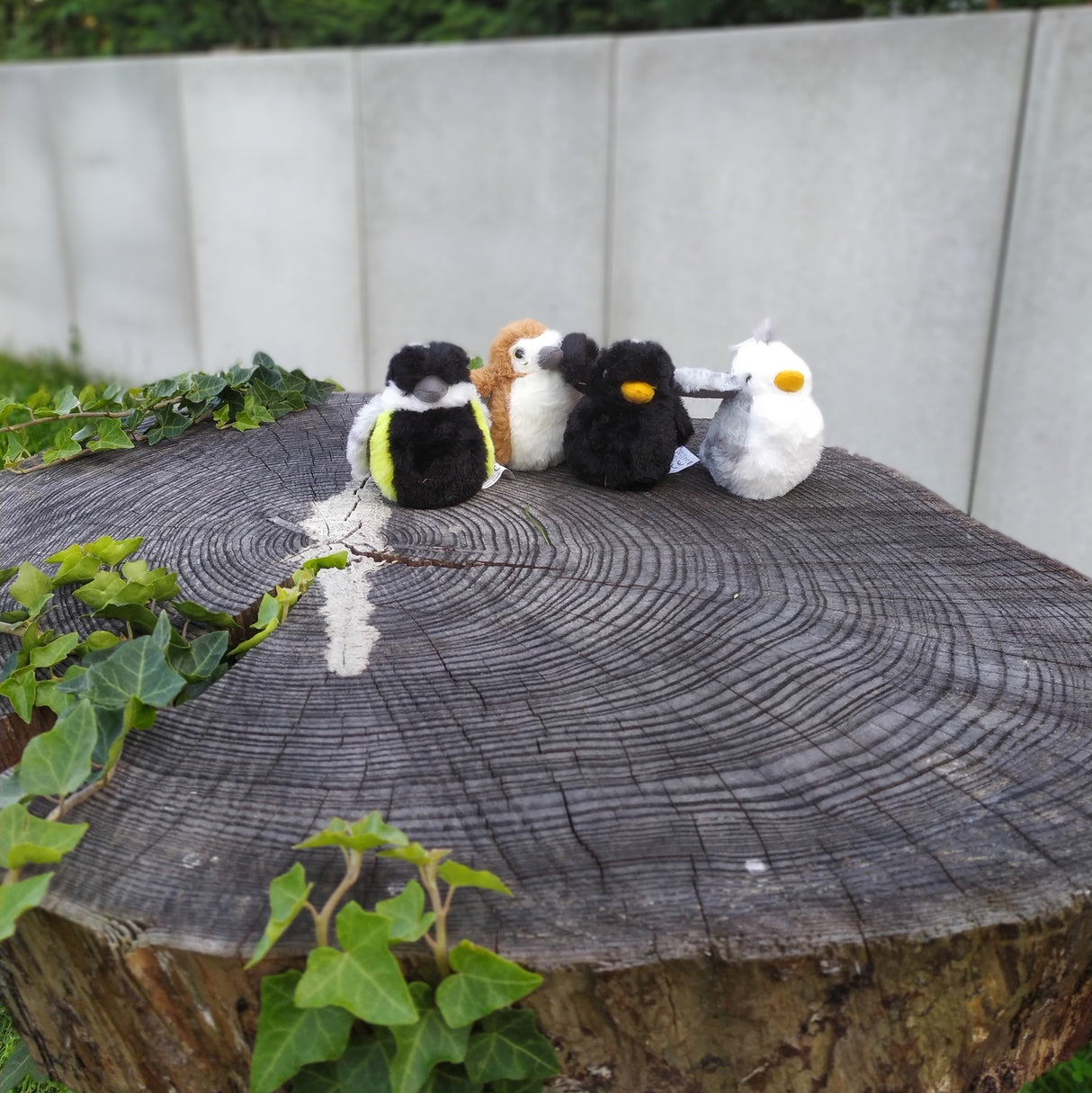 Singdrossel Kuscheltier mit Vogelzwitschern
