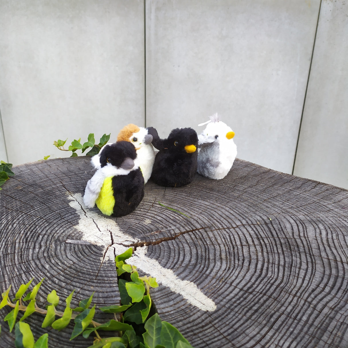 Singdrossel Kuscheltier mit Vogelzwitschern