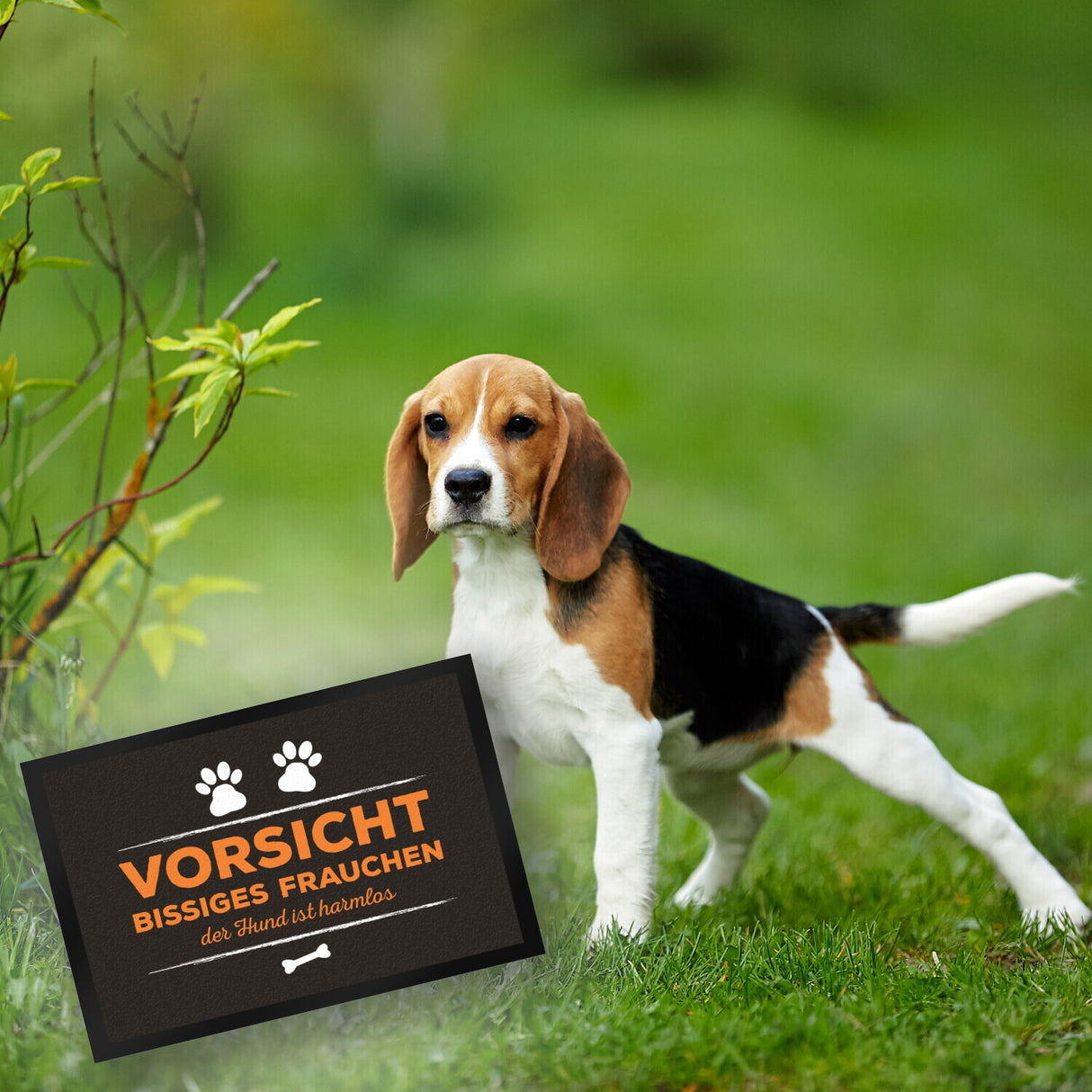 Vorsicht bissiges Frauchen Fußmatte