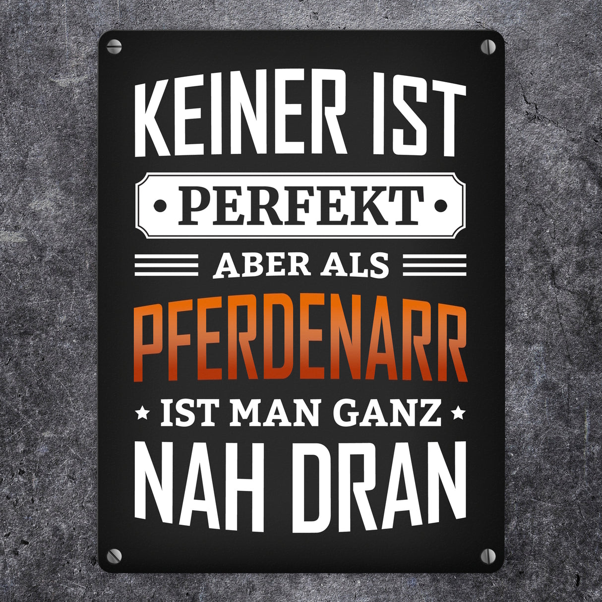 Metallschild mit Spruch: Keiner ist perfekt, aber als Pferdenarr ist man ganz nah dran