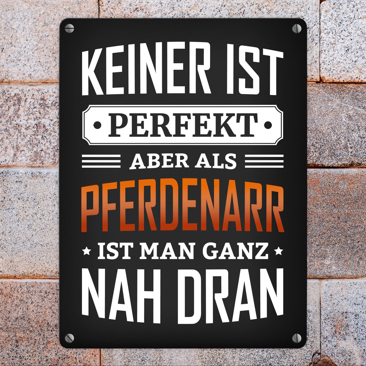 Metallschild mit Spruch: Keiner ist perfekt, aber als Pferdenarr ist man ganz nah dran