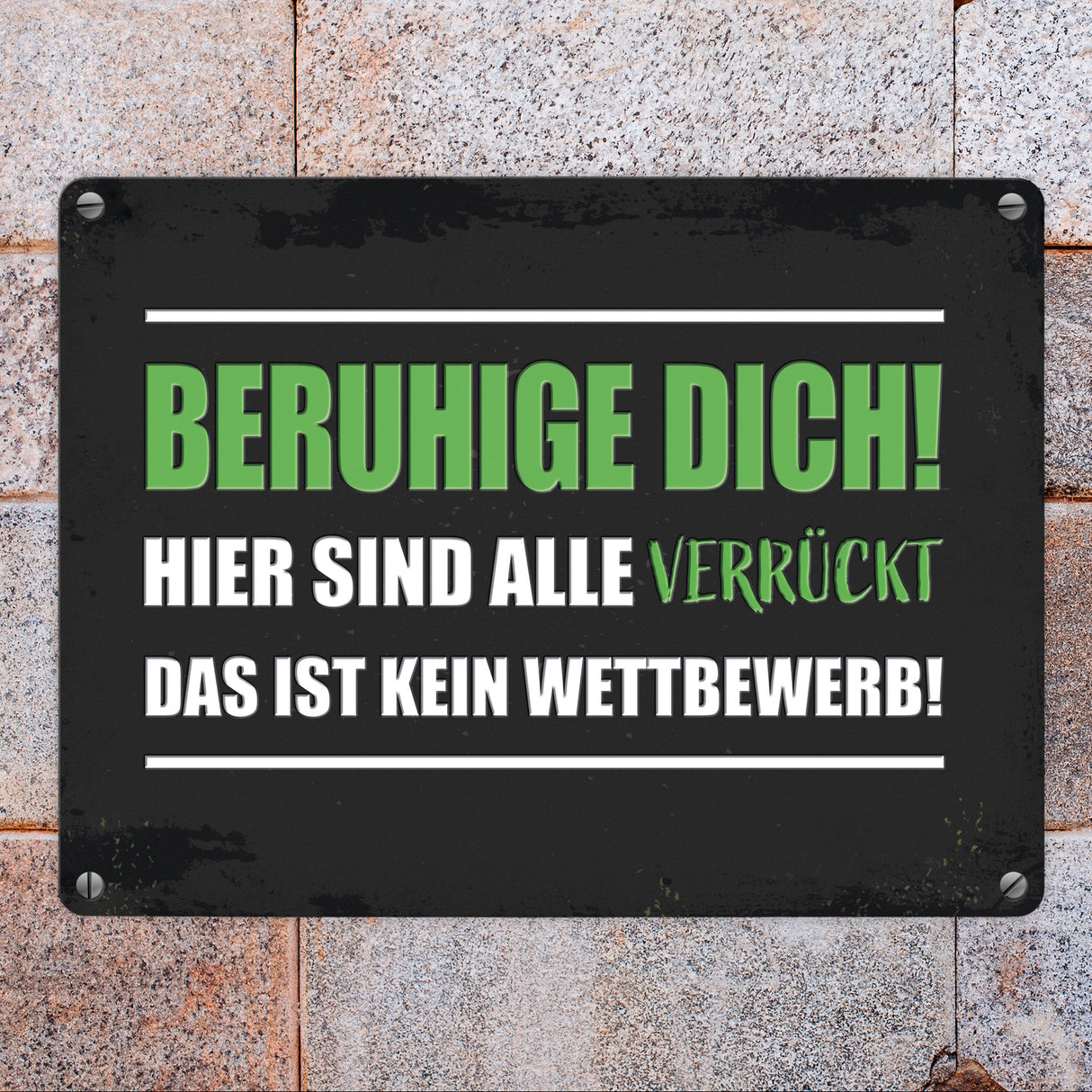 Beruhige dich! Hier sind alle verrückt… Metallschild