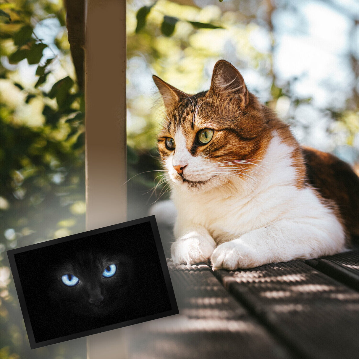 Katzenaugen Fußmatte Katze Kater Auge Haustüre Wohnungstüre Böse Zuhause