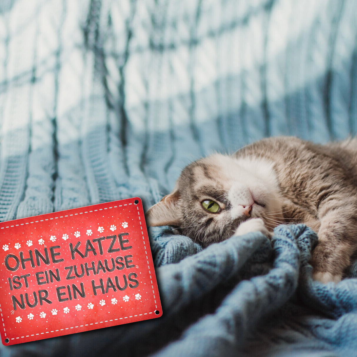 Ohne Katze ist ein Zuhause nur ein Haus Metallschild Liebe Katzen Tier Haustier Wohnung