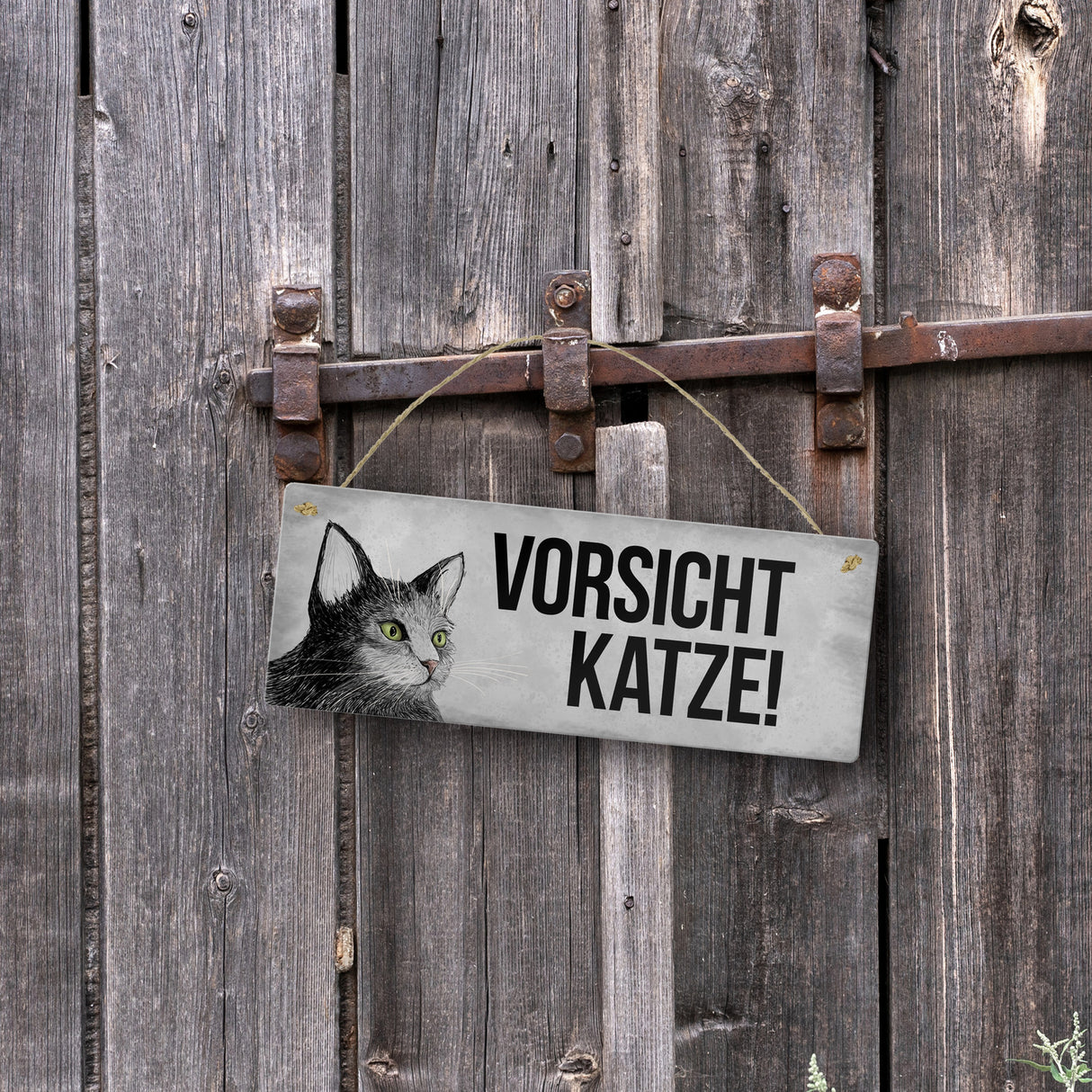 Vorsicht Katze Metallschild mit Katze Motiv
