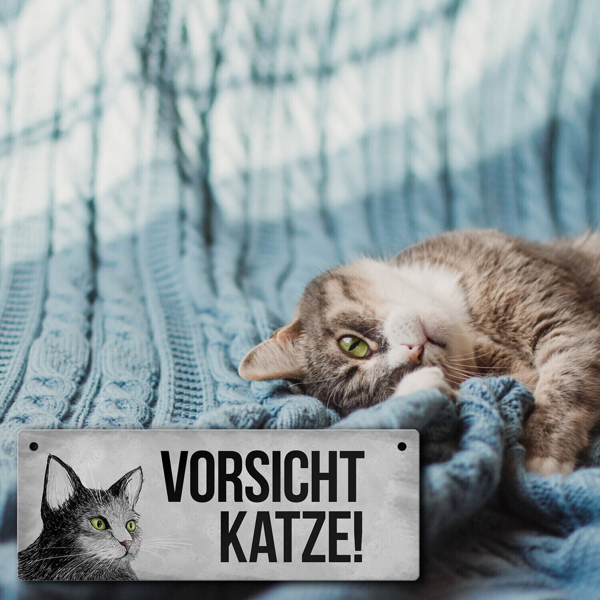 Vorsicht Katze Metallschild mit Katze Motiv
