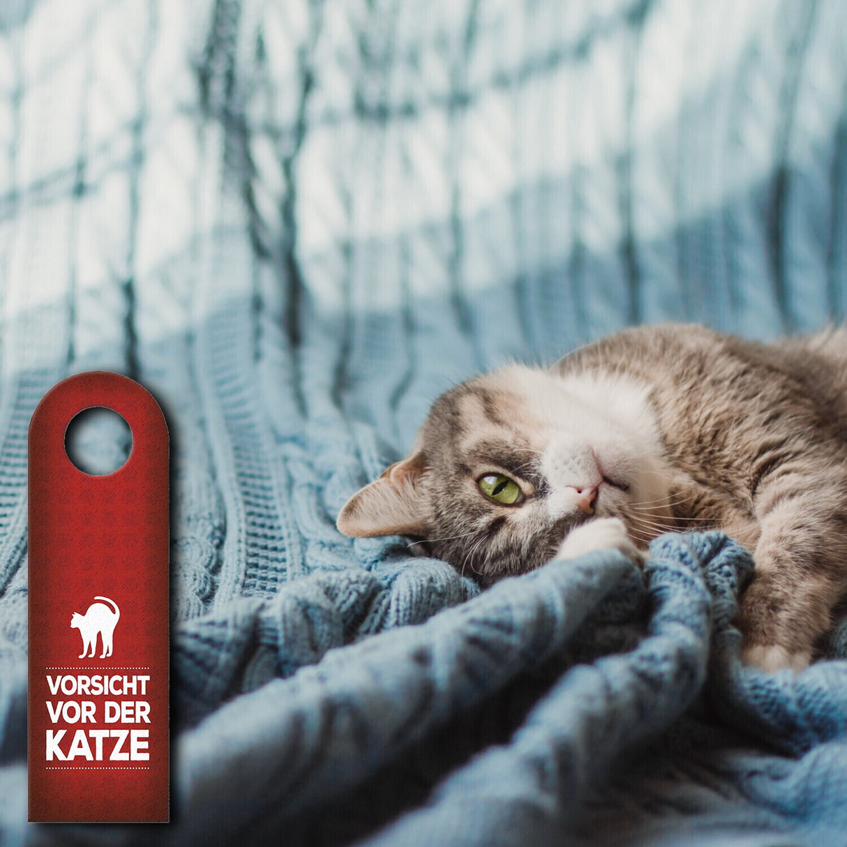 Vorsicht vor der Katze oder Komm rein Türhänger