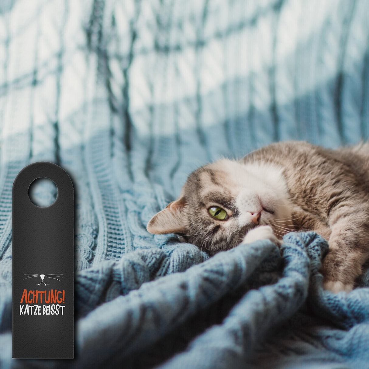 Achtung Katze beisst oder Katze ist nicht da Türhänger