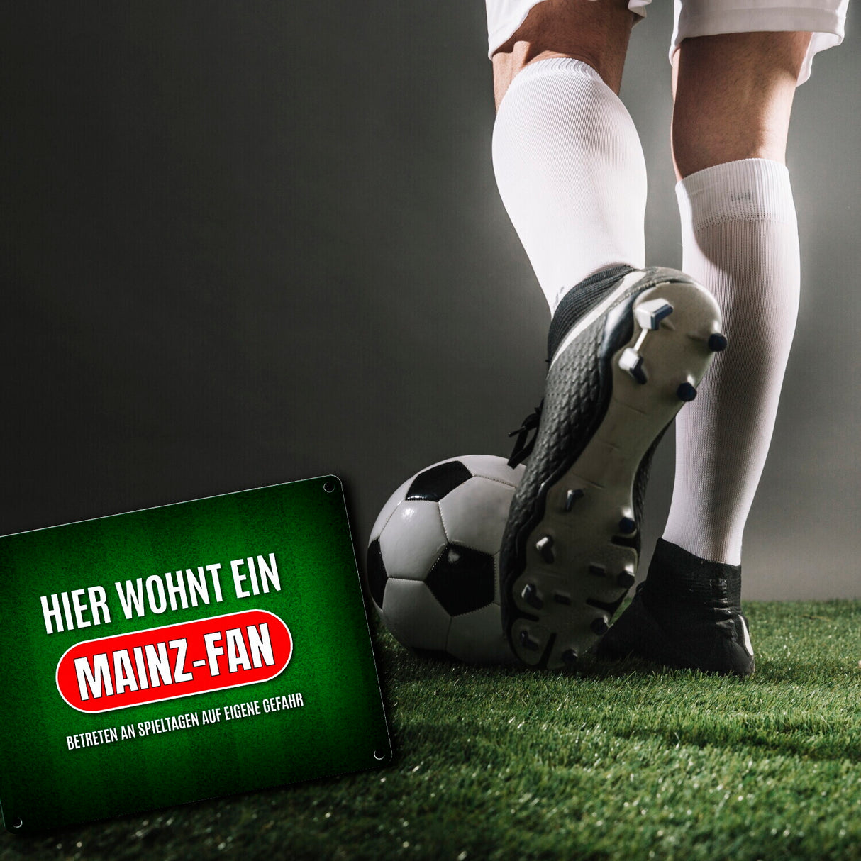 Hier wohnt ein Mainz-Fan Metallschild mit Rasen Motiv