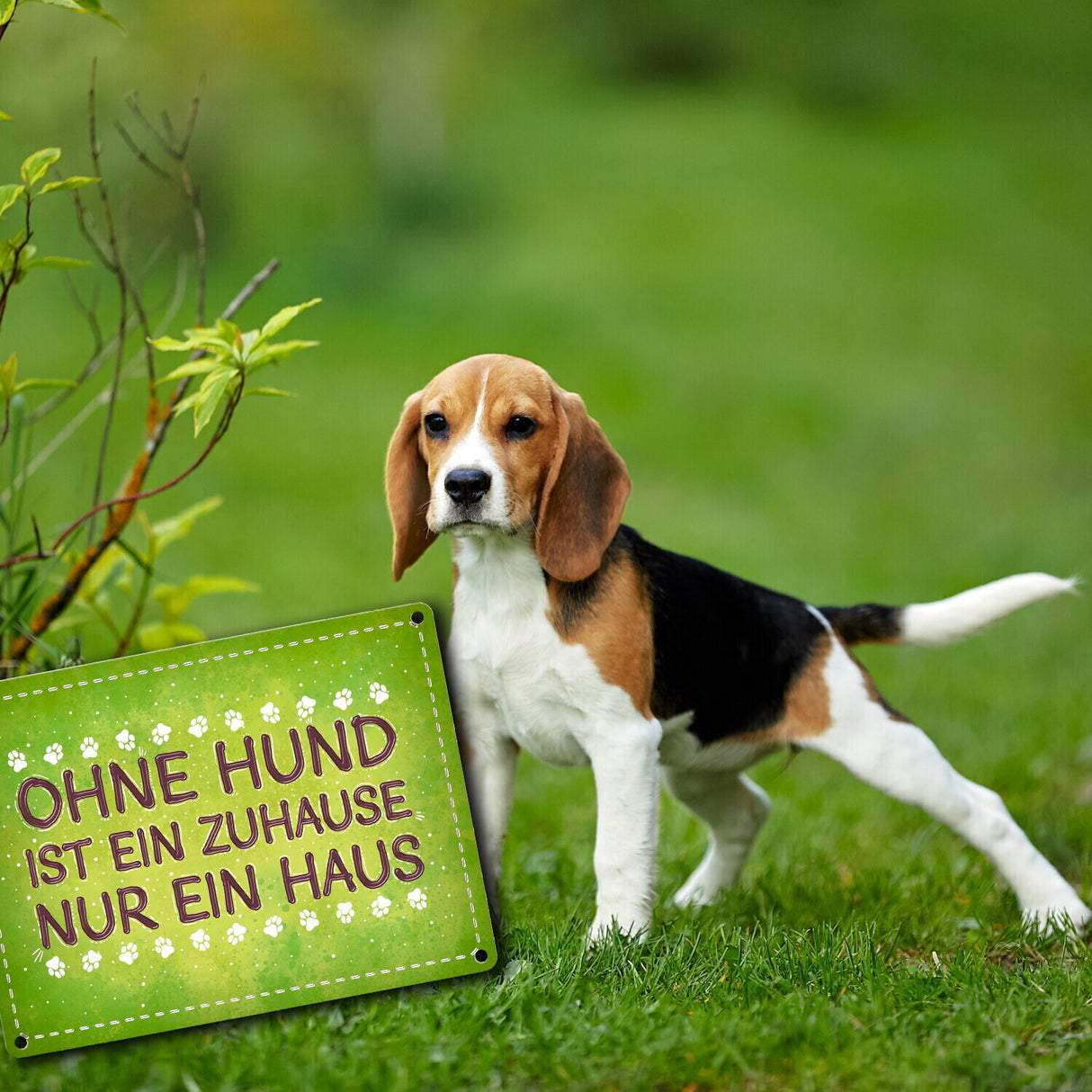 Ohne Hund ist ein Zuhause nur ein Haus Metallschild - Hunde Haustier Wohnung Haus Liebe Rudel